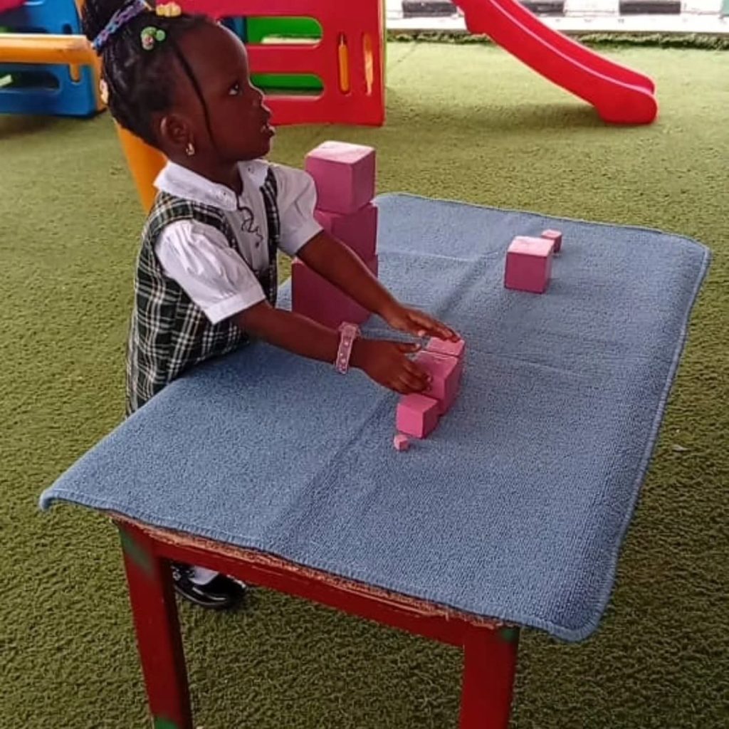 Building Little Minds with the Montessori Pink Tower! 🩷